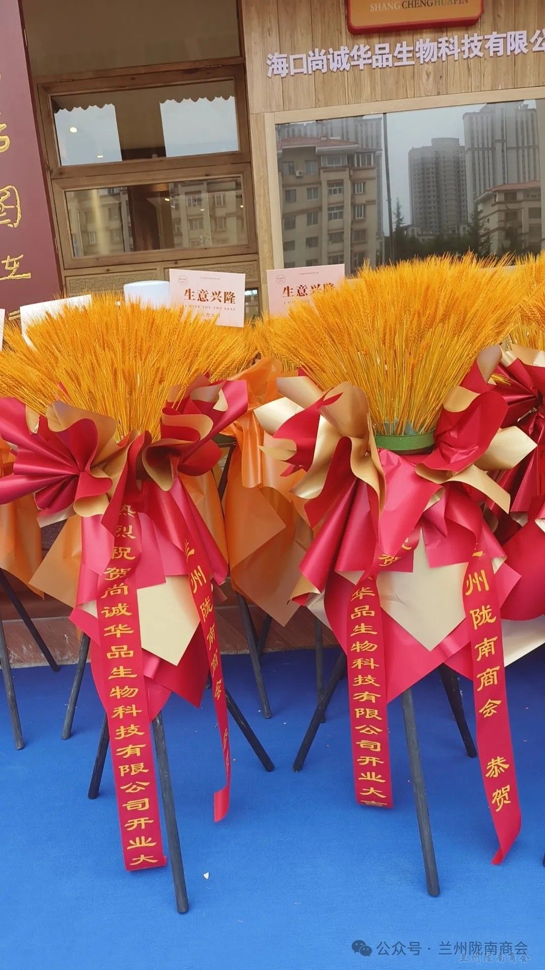 1747203420949407.jpg 1.jpg