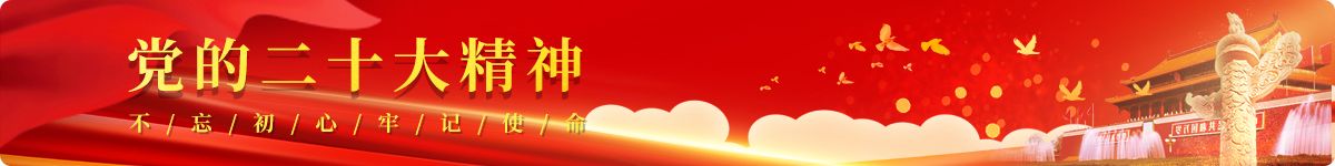 党的二十大精神