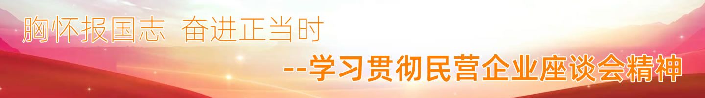 民营企业讲话精神